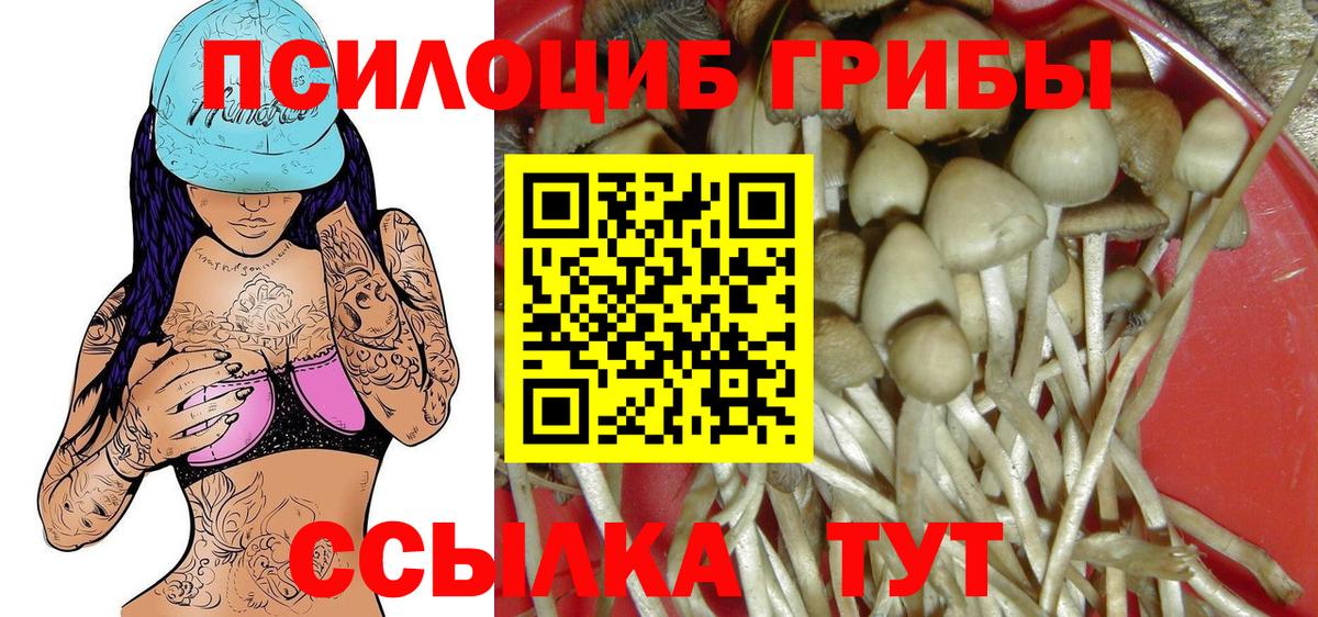 Псилоцибиновые грибы Psilocybe  Вход с VPN  Славгород 